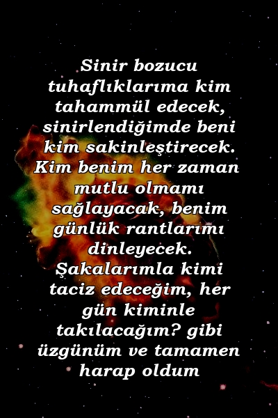 Sinir bozucu tuhaflıklarıma kim tahammül edecek, sinirlendiğimde beni kim sakinleştirecek. Kim benim her zaman mutlu olmamı sağlayacak, benim günlük rantlarımı dinleyecek. Şakalarımla kimi taciz edeceğim, her gün kiminle takılacağım? gibi üzgünüm ve tamamen harap oldum