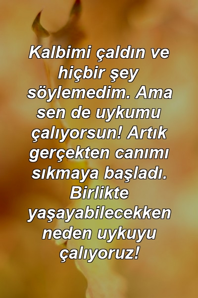 Kalbimi çaldın ve hiçbir şey söylemedim. Ama sen de uykumu çalıyorsun! Artık gerçekten canımı sıkmaya başladı. Birlikte yaşayabilecekken neden uykuyu çalıyoruz!