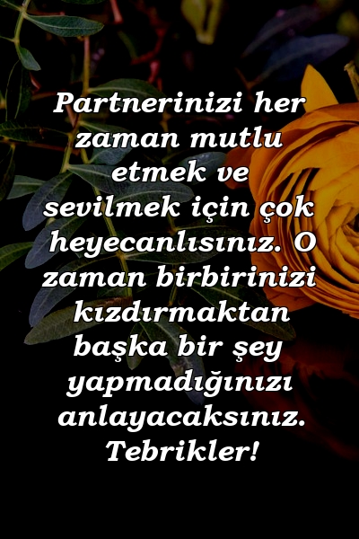 Partnerinizi her zaman mutlu etmek ve sevilmek için çok heyecanlısınız. O zaman birbirinizi kızdırmaktan başka bir şey yapmadığınızı anlayacaksınız. Tebrikler!