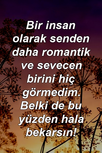 Bir insan olarak senden daha romantik ve sevecen birini hiç görmedim. Belki de bu yüzden hala bekarsın!