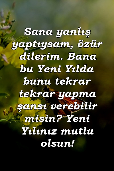 Sana yanlış yaptıysam, özür dilerim. Bana bu Yeni Yılda bunu tekrar tekrar yapma şansı verebilir misin? Yeni Yılınız mutlu olsun!