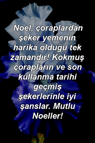 Noel, çoraplardan şeker yemenin harika olduğu tek zamandır! Kokmuş çorapların ve son kullanma tarihi geçmiş şekerlerinle iyi şanslar. Mutlu Noeller!