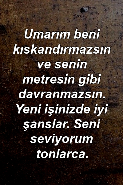 Umarım beni kıskandırmazsın ve senin metresin gibi davranmazsın. Yeni işinizde iyi şanslar. Seni seviyorum tonlarca.